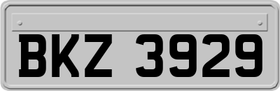 BKZ3929