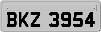 BKZ3954