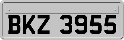 BKZ3955