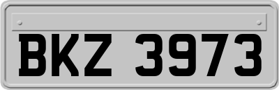 BKZ3973