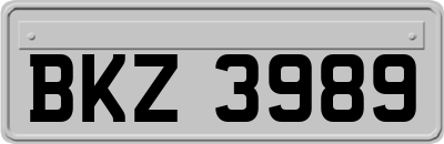 BKZ3989