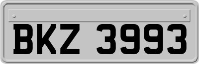 BKZ3993