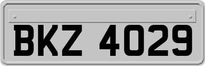 BKZ4029