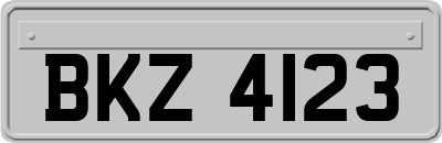 BKZ4123