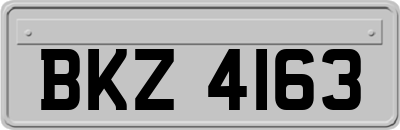 BKZ4163