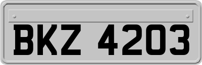 BKZ4203