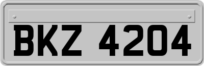BKZ4204