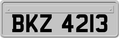 BKZ4213