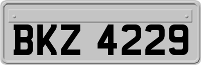 BKZ4229