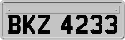 BKZ4233