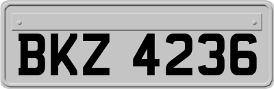 BKZ4236