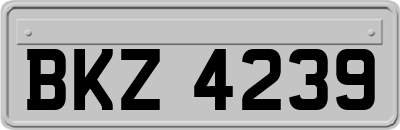 BKZ4239