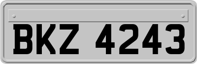 BKZ4243