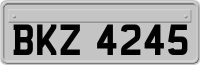 BKZ4245