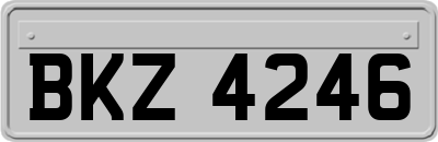 BKZ4246