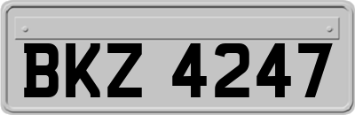 BKZ4247