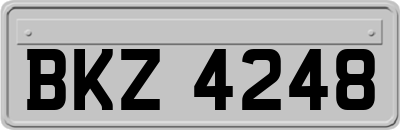 BKZ4248
