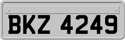 BKZ4249