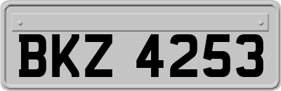 BKZ4253