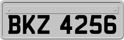 BKZ4256