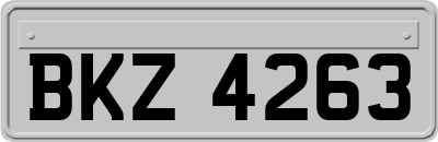 BKZ4263