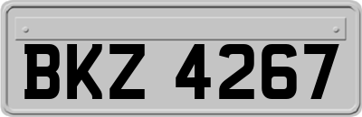 BKZ4267