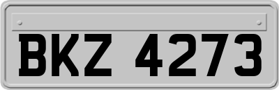 BKZ4273