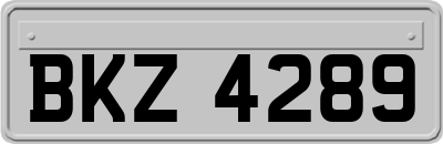 BKZ4289