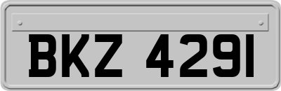 BKZ4291