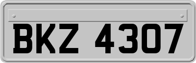 BKZ4307