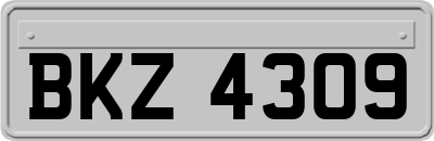 BKZ4309