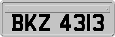 BKZ4313