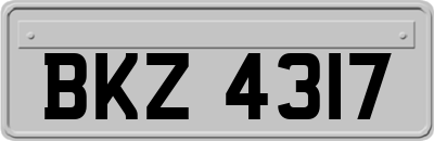 BKZ4317