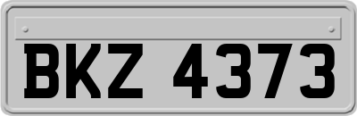 BKZ4373