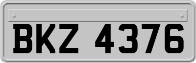 BKZ4376
