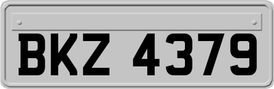 BKZ4379