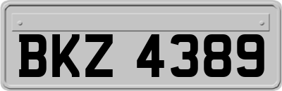 BKZ4389