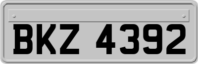 BKZ4392