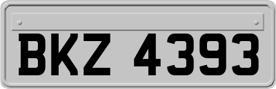 BKZ4393