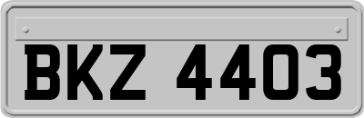 BKZ4403