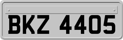BKZ4405