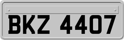 BKZ4407
