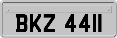 BKZ4411