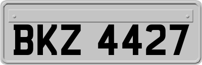 BKZ4427