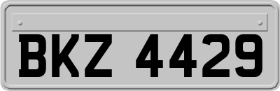 BKZ4429