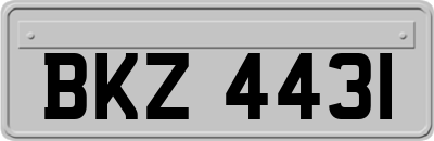 BKZ4431