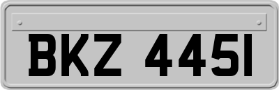 BKZ4451