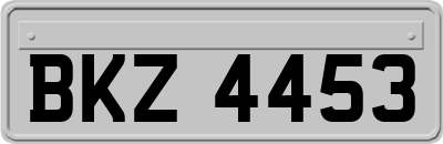 BKZ4453