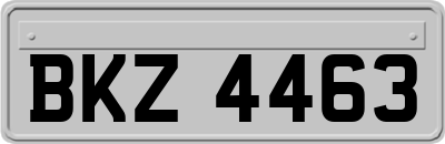BKZ4463