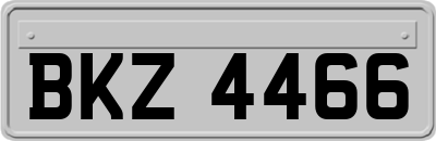 BKZ4466